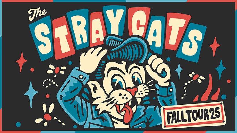 More Info for The STRAY CATS