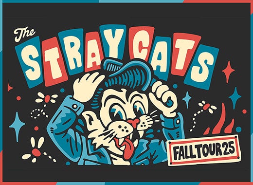 More Info for The STRAY CATS